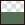 průhledná_zelená_borovice